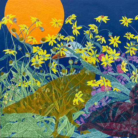 Julia Lucey